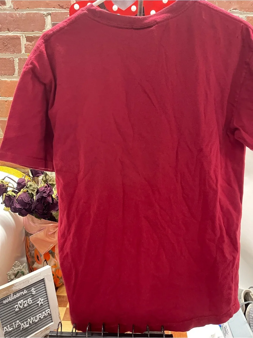 vintage red Polo Sport Ralph Lauren T-shirt featuring a classic graphic